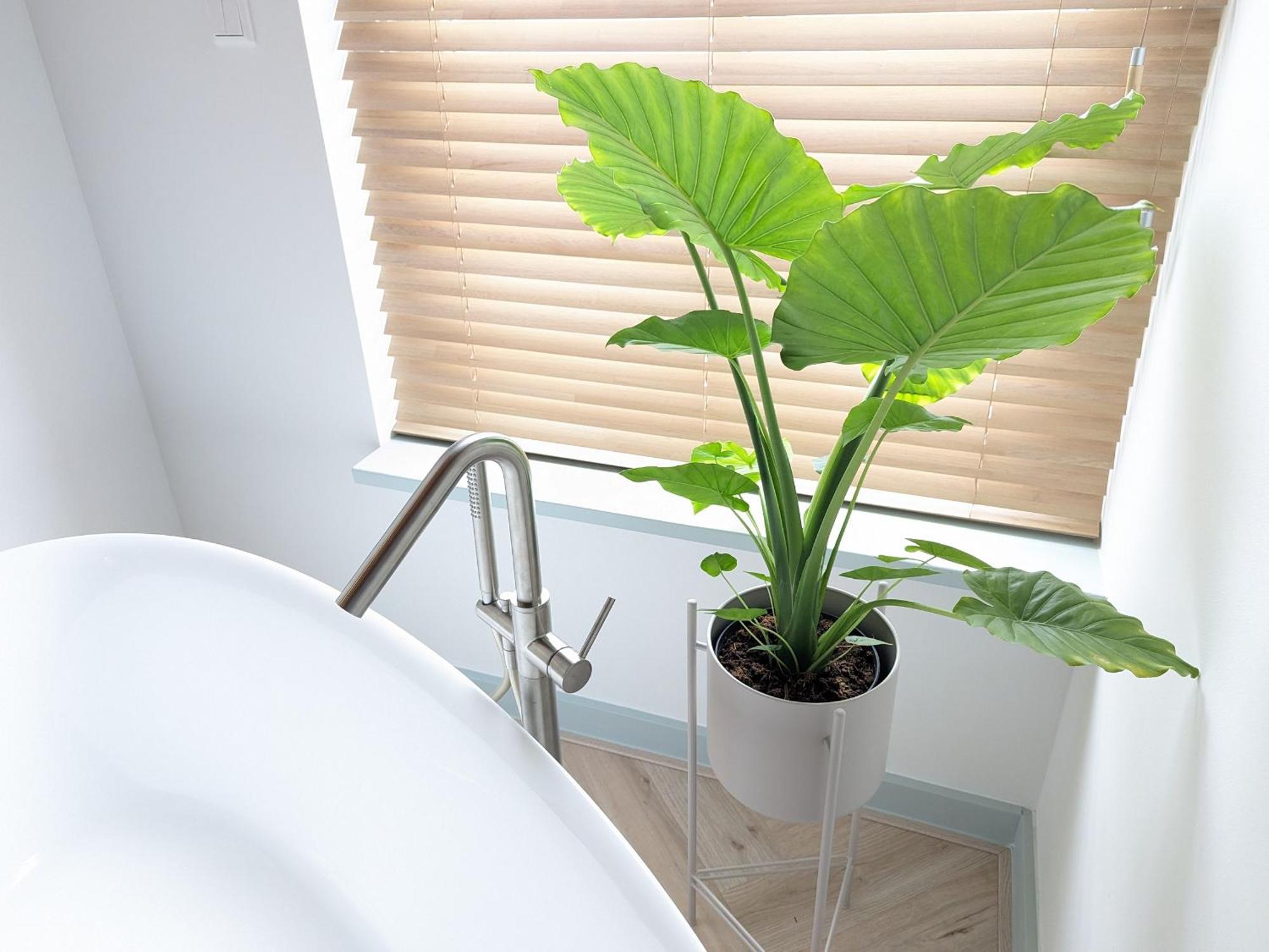 Boutique B&B Villa Van Voss Etten-Leur Exteriör bild