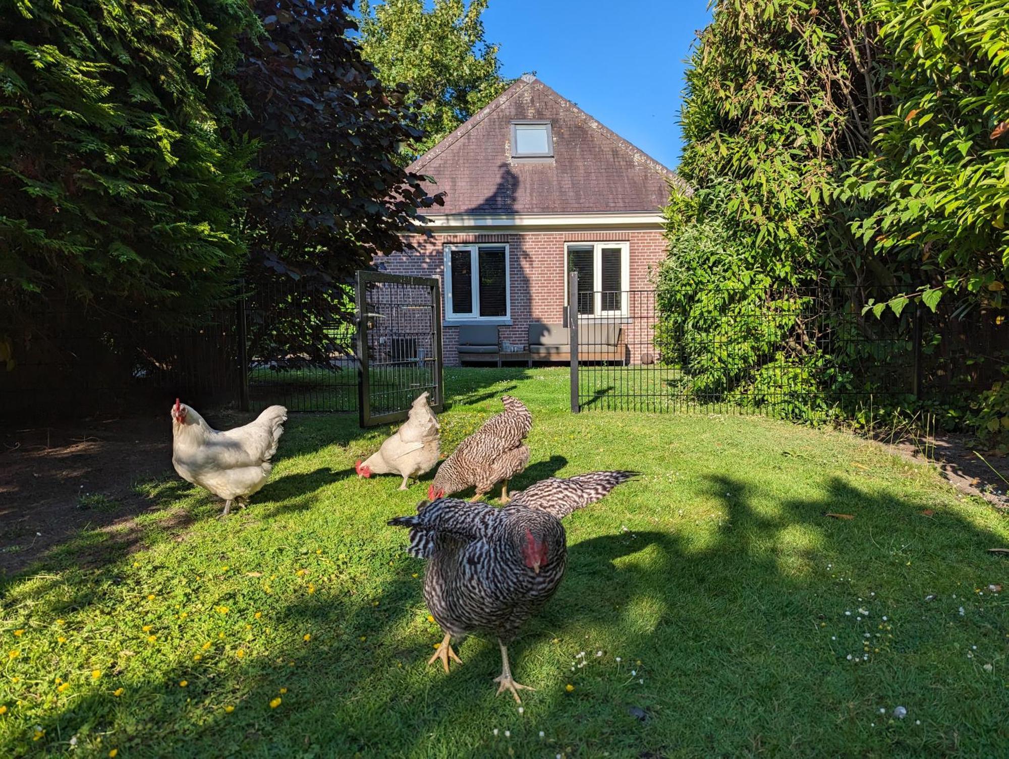 Boutique B&B Villa Van Voss Etten-Leur Exteriör bild